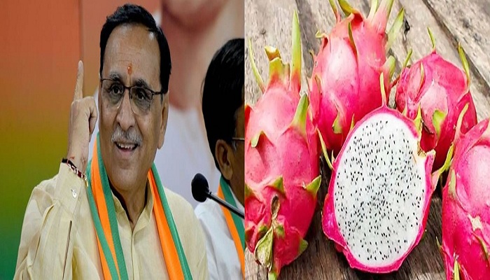 Gujarat cm vijay rupani announced