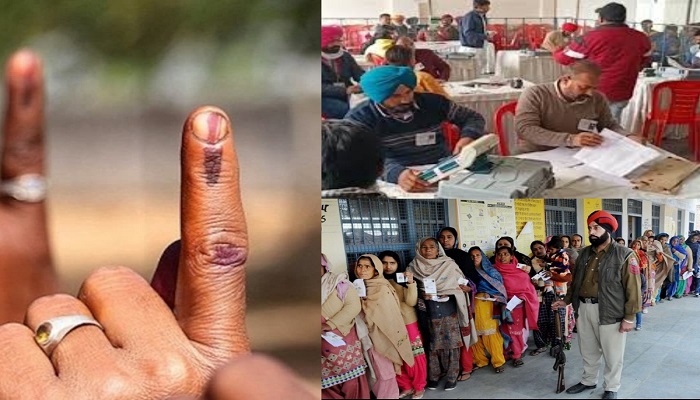 Punjab MC Poll Results