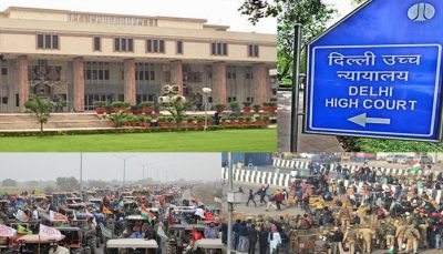 Delhi high court pil