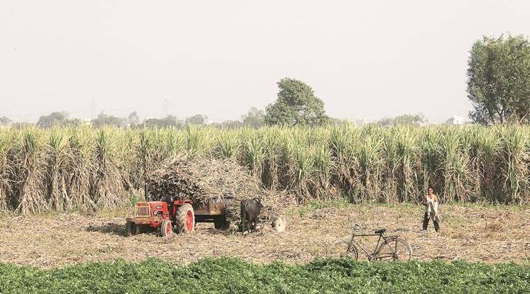 tractor year 1957 worked still surprisingly