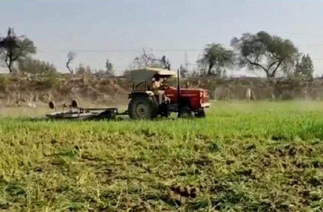 Punjab Haryana farmers destroy crop