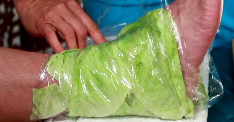 Cabbage Wrap benefits