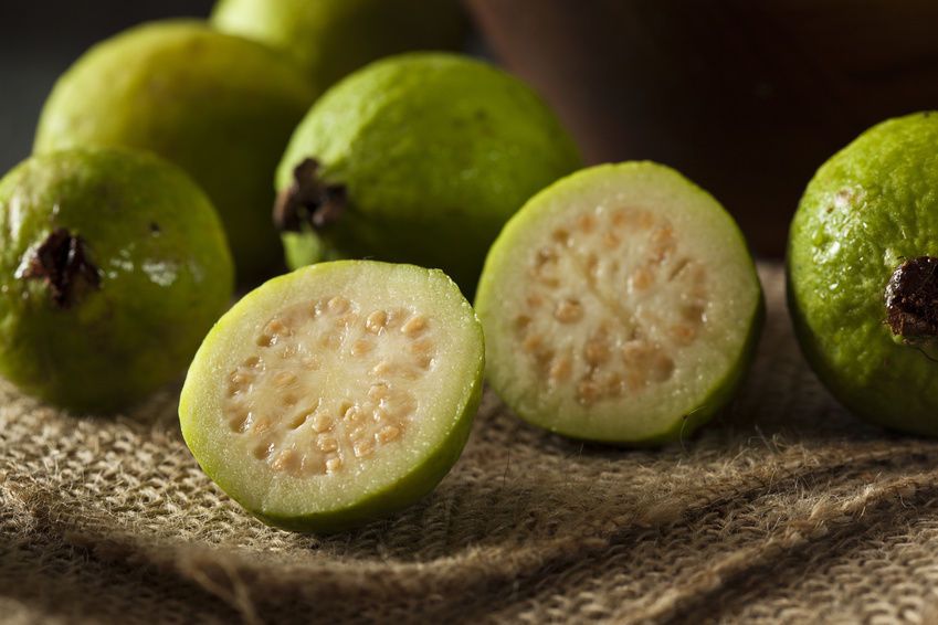 Guava seeds benefits