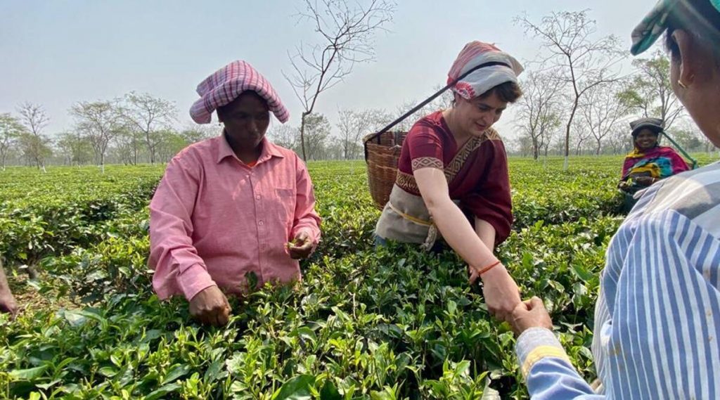 congress leader priyanka gandhi