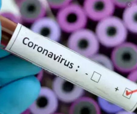 ludhiana coronavirus positive cases