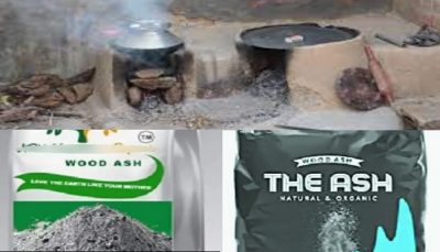 Stove ash price