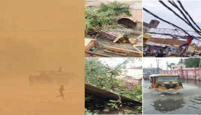 Thunderstorm caused havoc in rajasthan