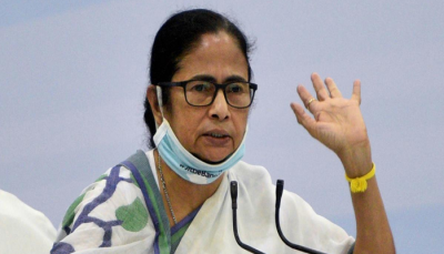 Mamata says goons