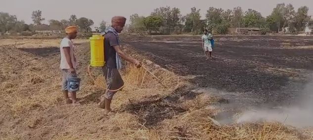 Kadiana fields caught fire