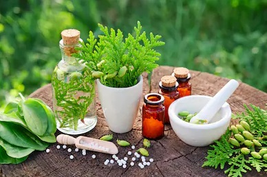 Homeopathic medicine rules