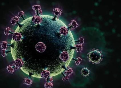 WHO experts said coronavirus