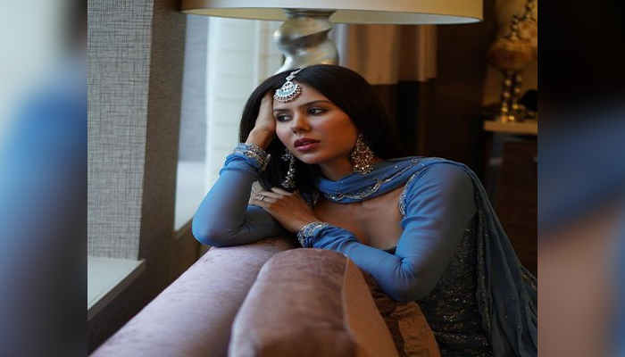 beauiful pictures of sonam bajwa