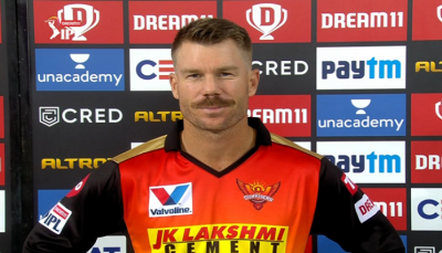 Sunrisers hyderabad remove david warner