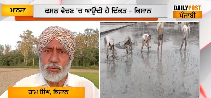 Farmers started sowing paddy