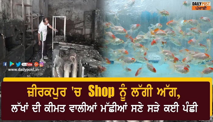 Fire at Pet Shop in Zirakpur