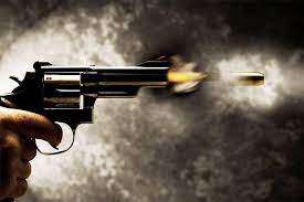 DMK MLA opens fire during clash, AIADMK blames arch rival for gun culture -  DTNext.in