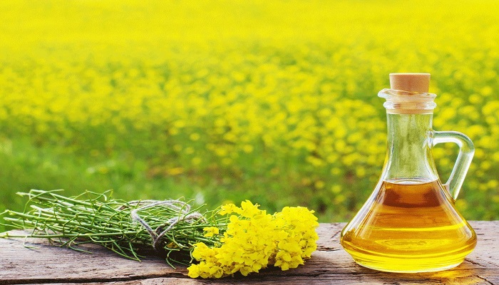 Mustard oil rises
