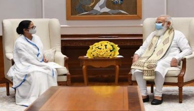 cm mamata meets pm modi