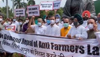 congress mps rahul gandhi protest parliament