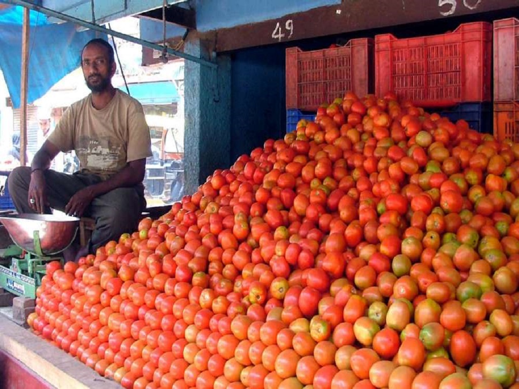 Tomato prices fall