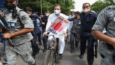 rahul gandhi cycle march parliament