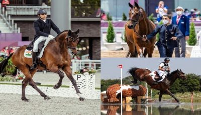 equestrian fouaad mirza qualifies