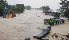 madhya pradesh heavy rain floods