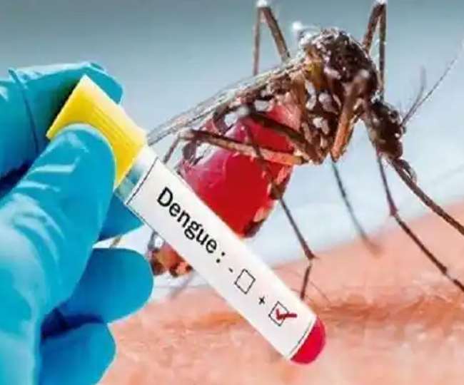 50 dengue patients reported