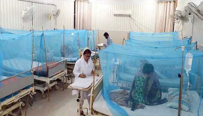 Number of dengue patients