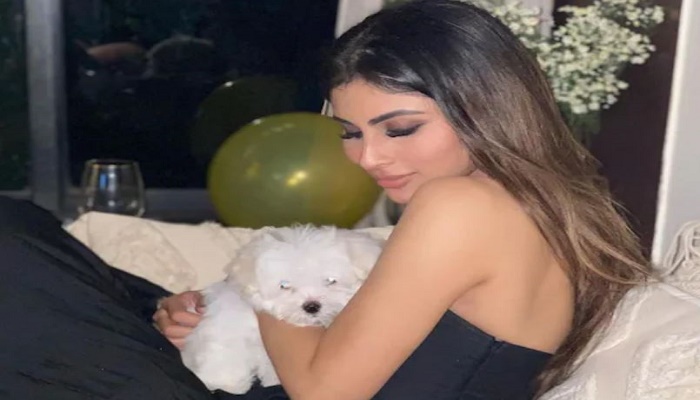 mouni roy beautiful pictures