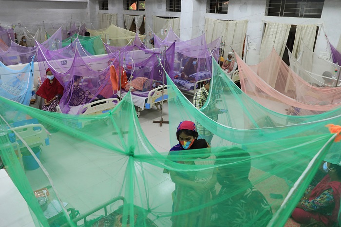 21 new dengue patients
