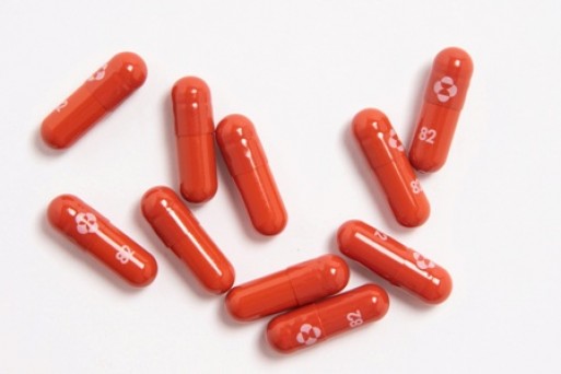 Anti-Covid Pills in India