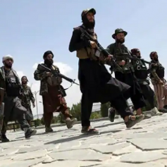 taliban release over 210 prisoners