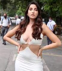 nora fatehi shares pics