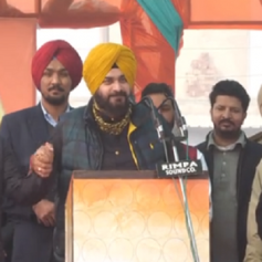 punjab congress has announced its candidate
