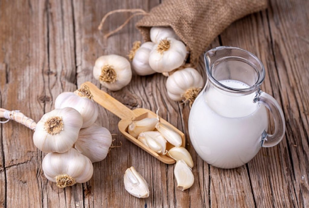 Garlic milk health benefits