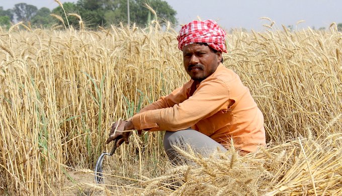 Govt may hike agri credit target