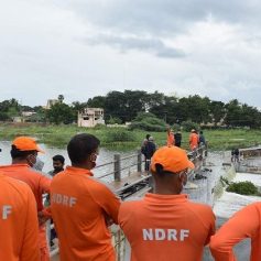 ndrf twitter handle hacked