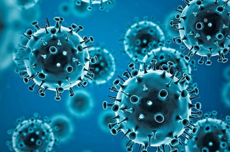 WHO warns on Coronavirus