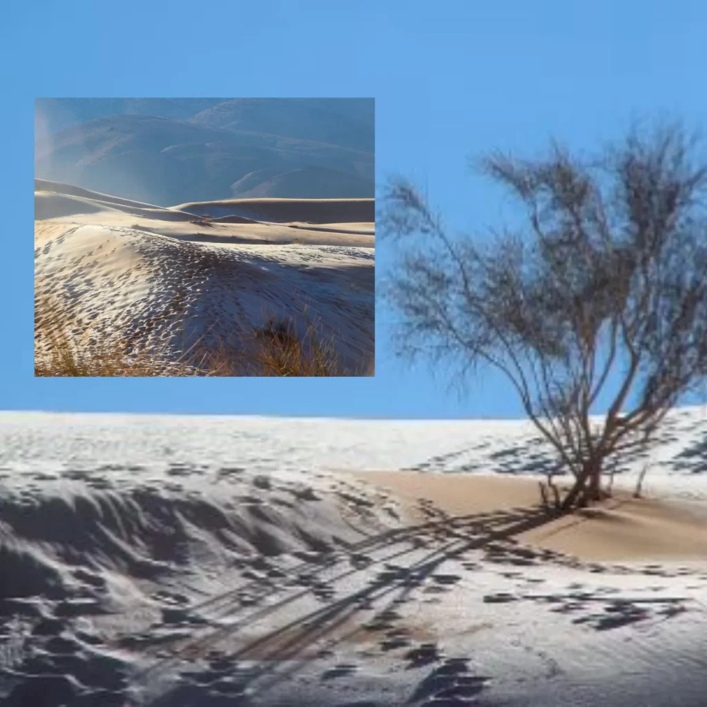 sahara desert receives snowfall