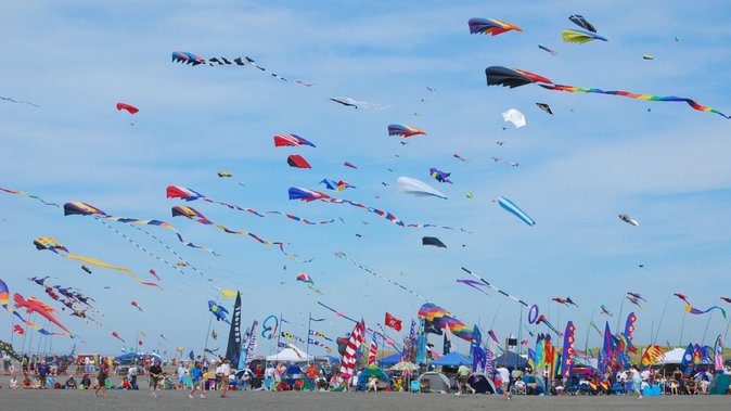 Kite Flying License