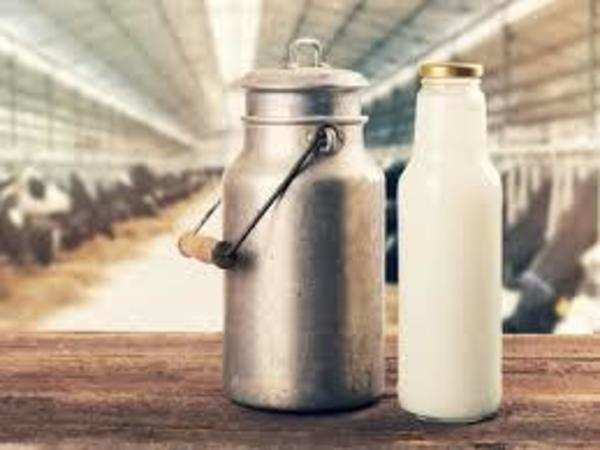 Punjab Milk Price 