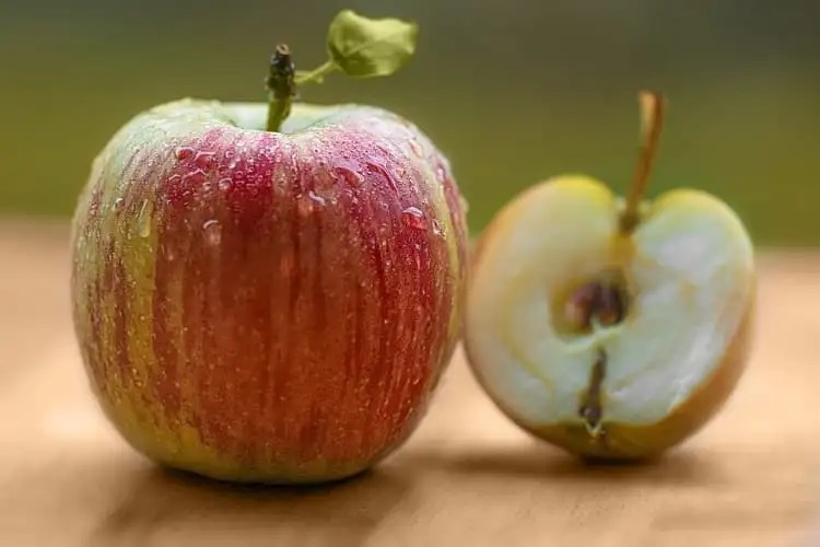 Apple seeds health effects