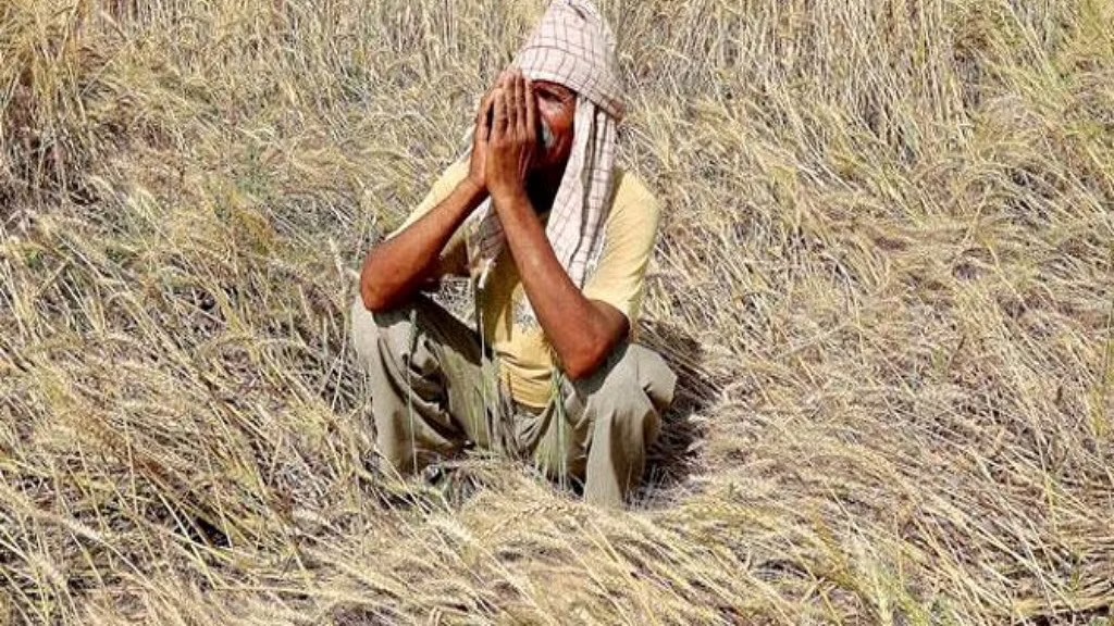 Bhagwant mann action over farmers