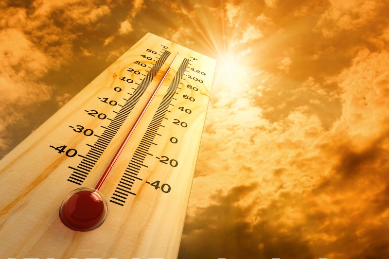 Punjab heat wave
