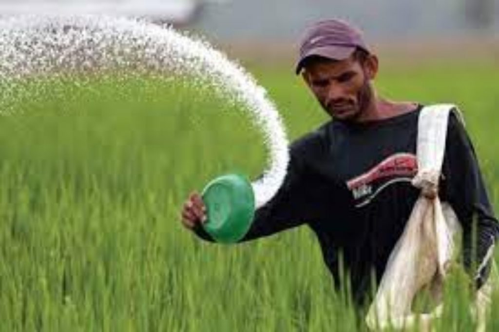 DAP fertilizer prices hike 
