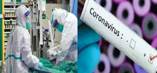 24 corona patients found