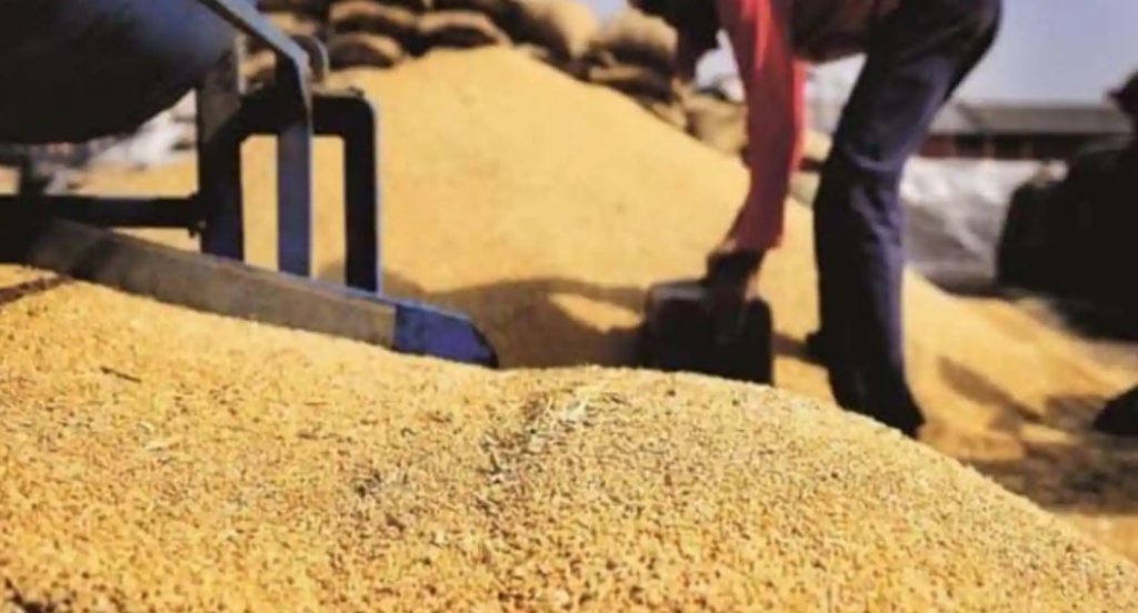 India banning wheat exports