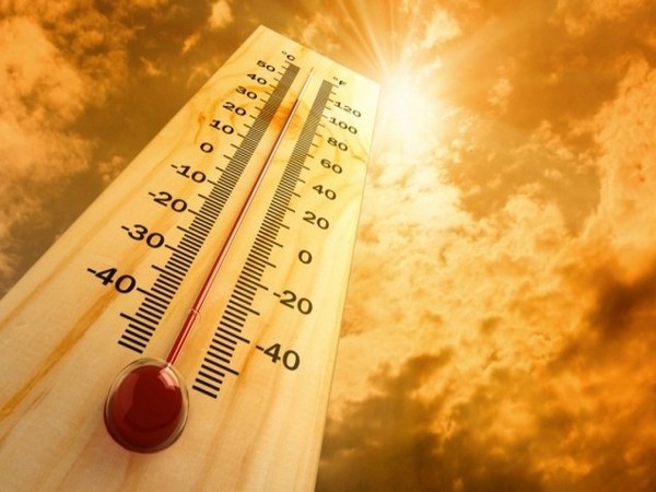 Punjab heat wave
