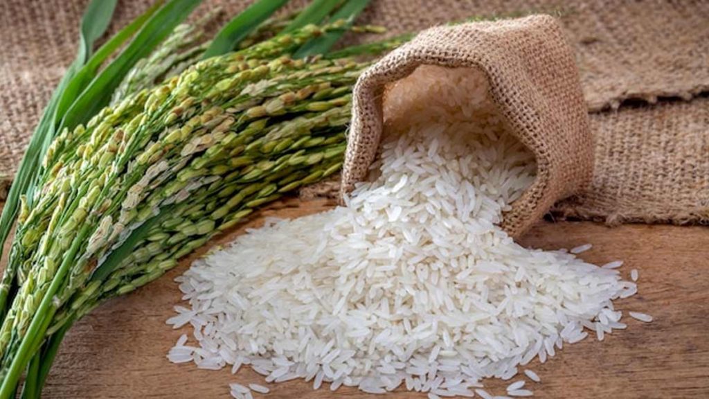 loose Motion rice benefits